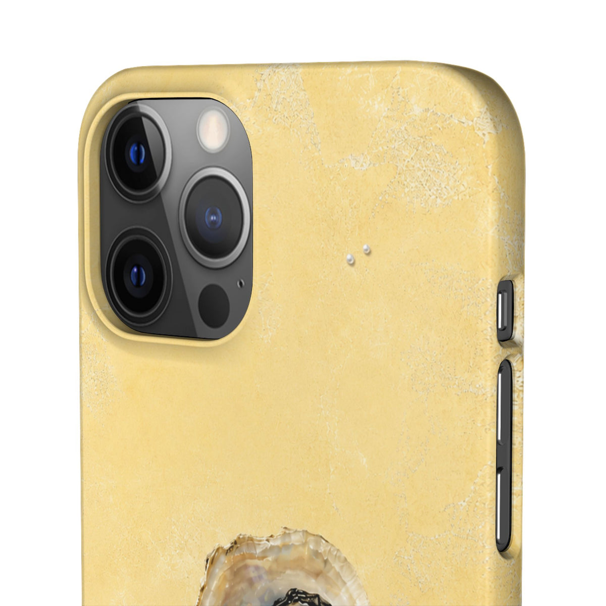 Oyster Pearl Snap Case