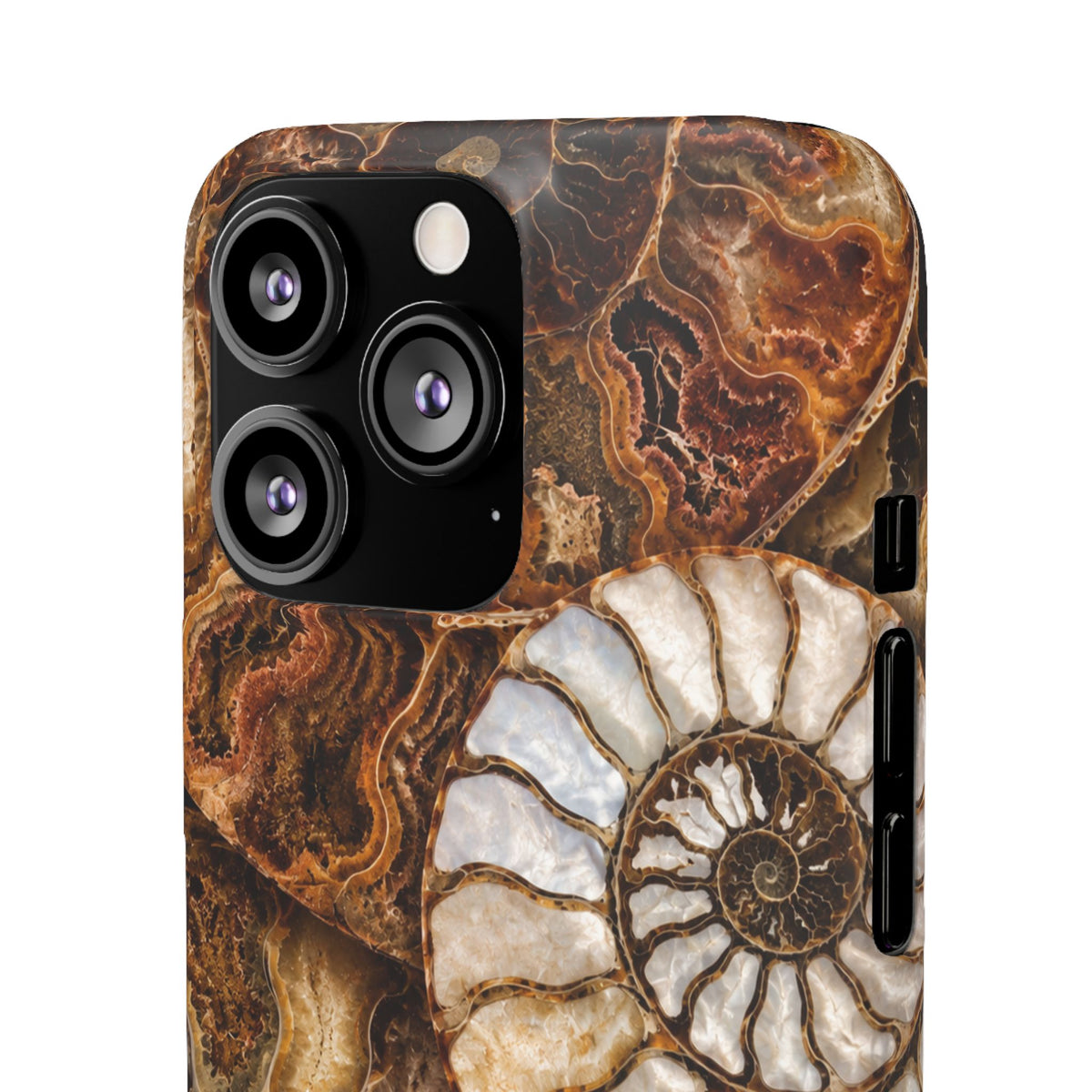 Nautilus Fossil Snap Case